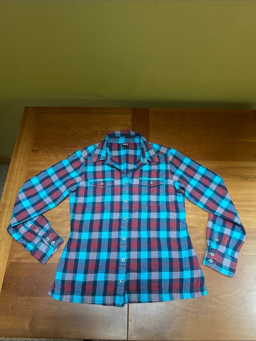Patagonia Women's 100% Organic Cotton Sz 4 Plaid Button-Down Shirt